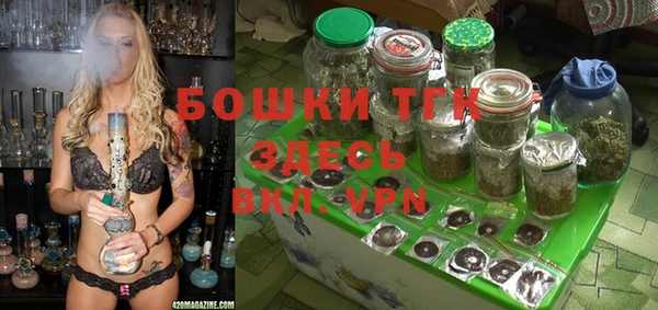 сатива Верхнеуральск
