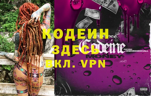 индика Рославль