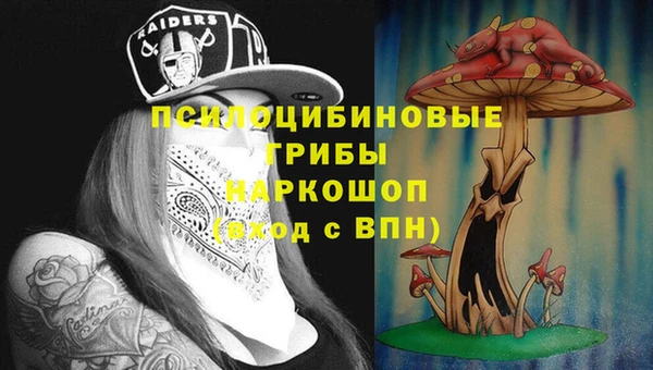 прущие грибы Бугульма