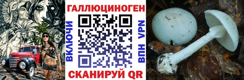Галлюциногенные грибы GOLDEN TEACHER  Духовщина 